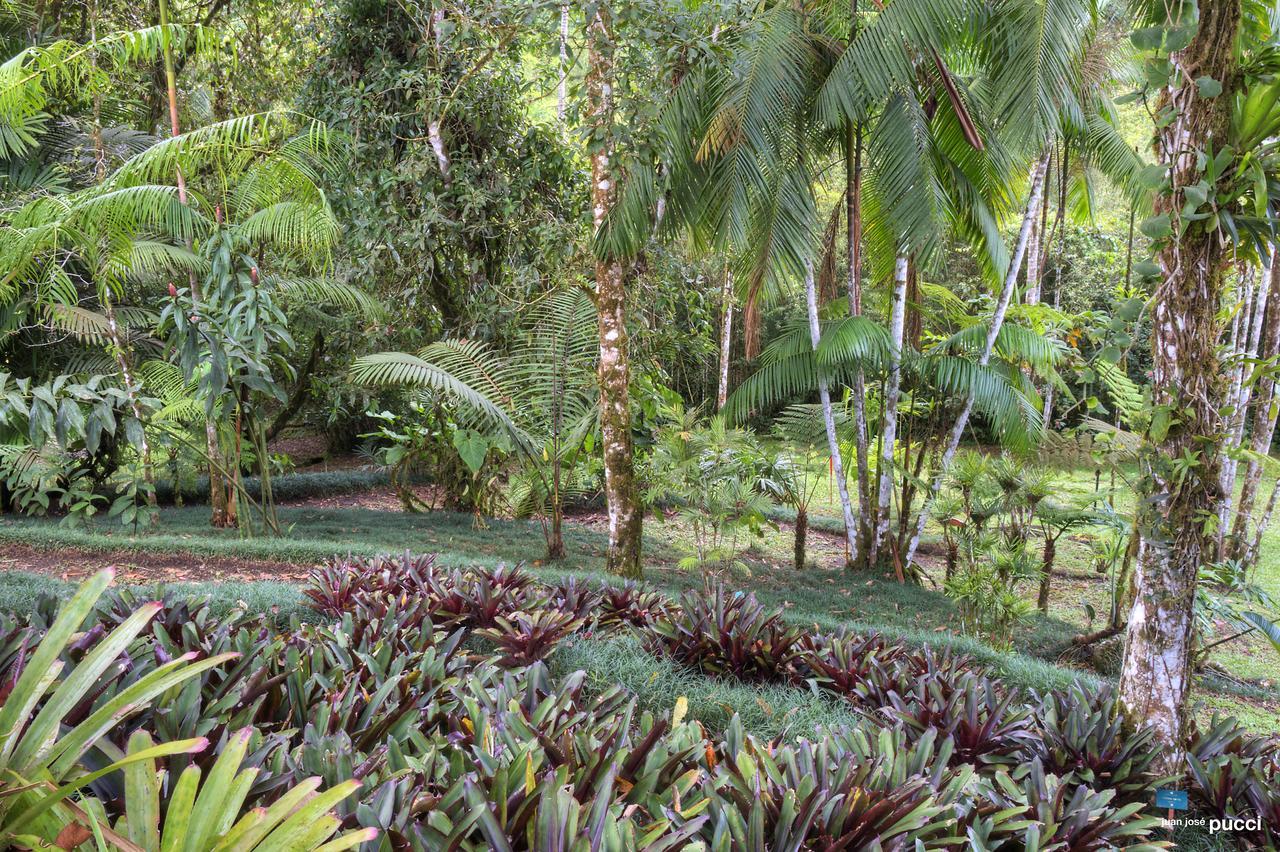 Estacion Biologica Las Cruces Y Jardin Botanico Wilson San Vito Bagian luar foto