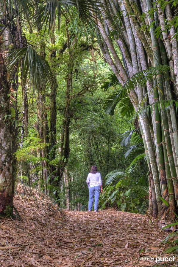 Estacion Biologica Las Cruces Y Jardin Botanico Wilson San Vito Bagian luar foto