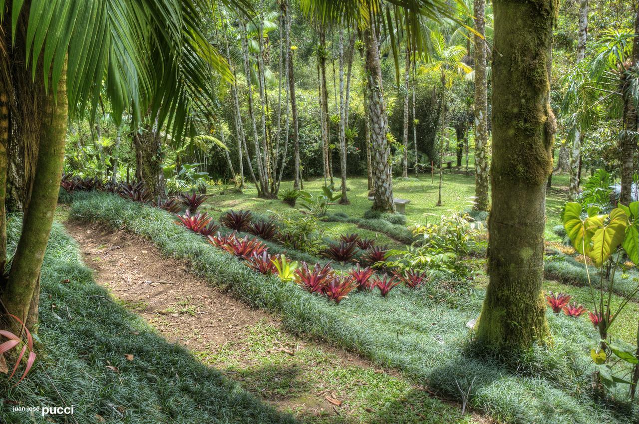 Estacion Biologica Las Cruces Y Jardin Botanico Wilson San Vito Bagian luar foto