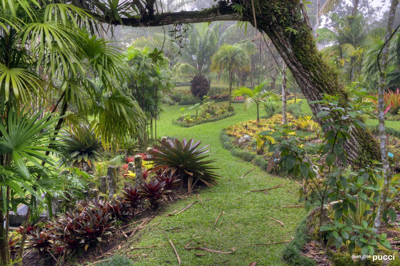 Estacion Biologica Las Cruces Y Jardin Botanico Wilson San Vito Bagian luar foto